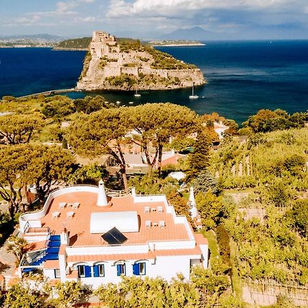 Villa Livia Ischia Exteriör bild